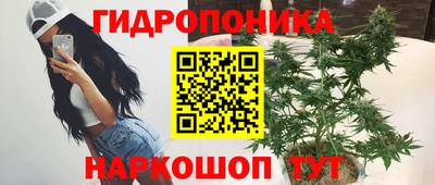 стафф Свободный