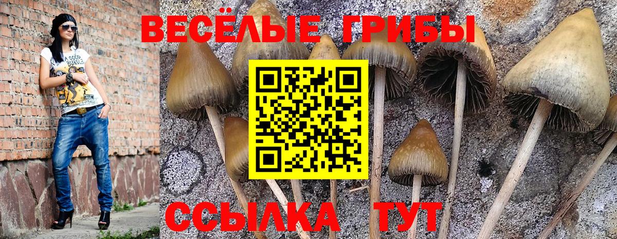 Галлюциногенные грибы мицелий  Галлюциногенные грибы прущие грибы  Вход с VPN  Петропавловск-Камчатский 